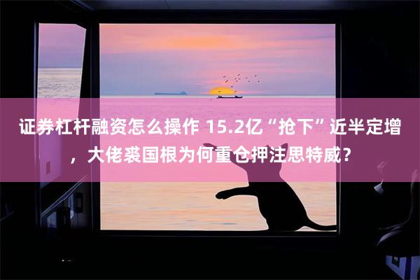 证券杠杆融资怎么操作 15.2亿“抢下”近半定增，大佬裘国根为何重仓押注思特威？