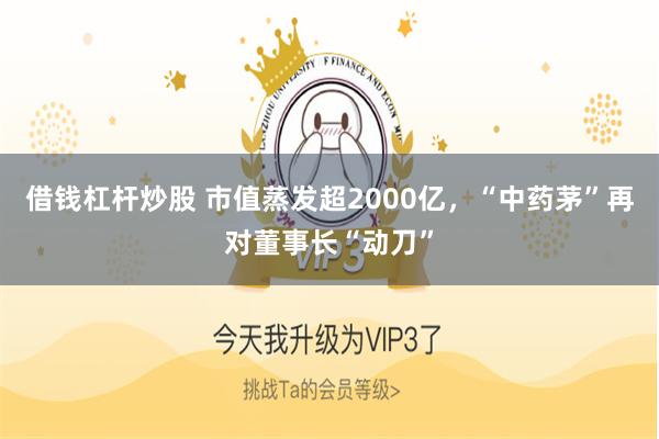 借钱杠杆炒股 市值蒸发超2000亿，“中药茅”再对董事长“动刀”