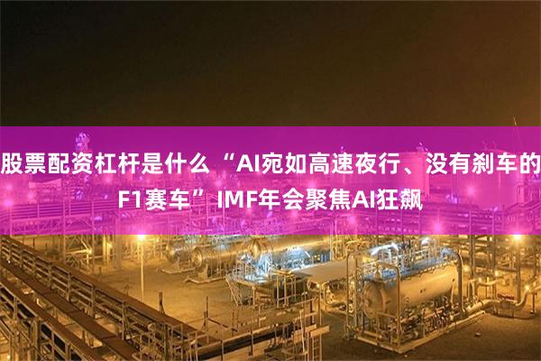 股票配资杠杆是什么 “AI宛如高速夜行、没有刹车的F1赛车” IMF年会聚焦AI狂飙