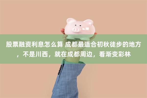 股票融资利息怎么算 成都最适合初秋徒步的地方，不是川西，就在成都周边，看渐变彩林
