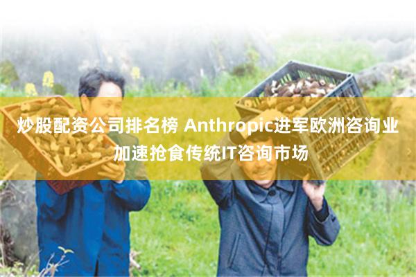 炒股配资公司排名榜 Anthropic进军欧洲咨询业 加速抢食传统IT咨询市场