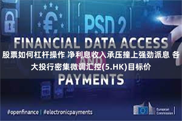 股票如何杠杆操作 净利息收入承压撞上强劲派息 各大投行密集微调汇控(5.HK)目标价